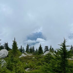 Meet your Posher, E.